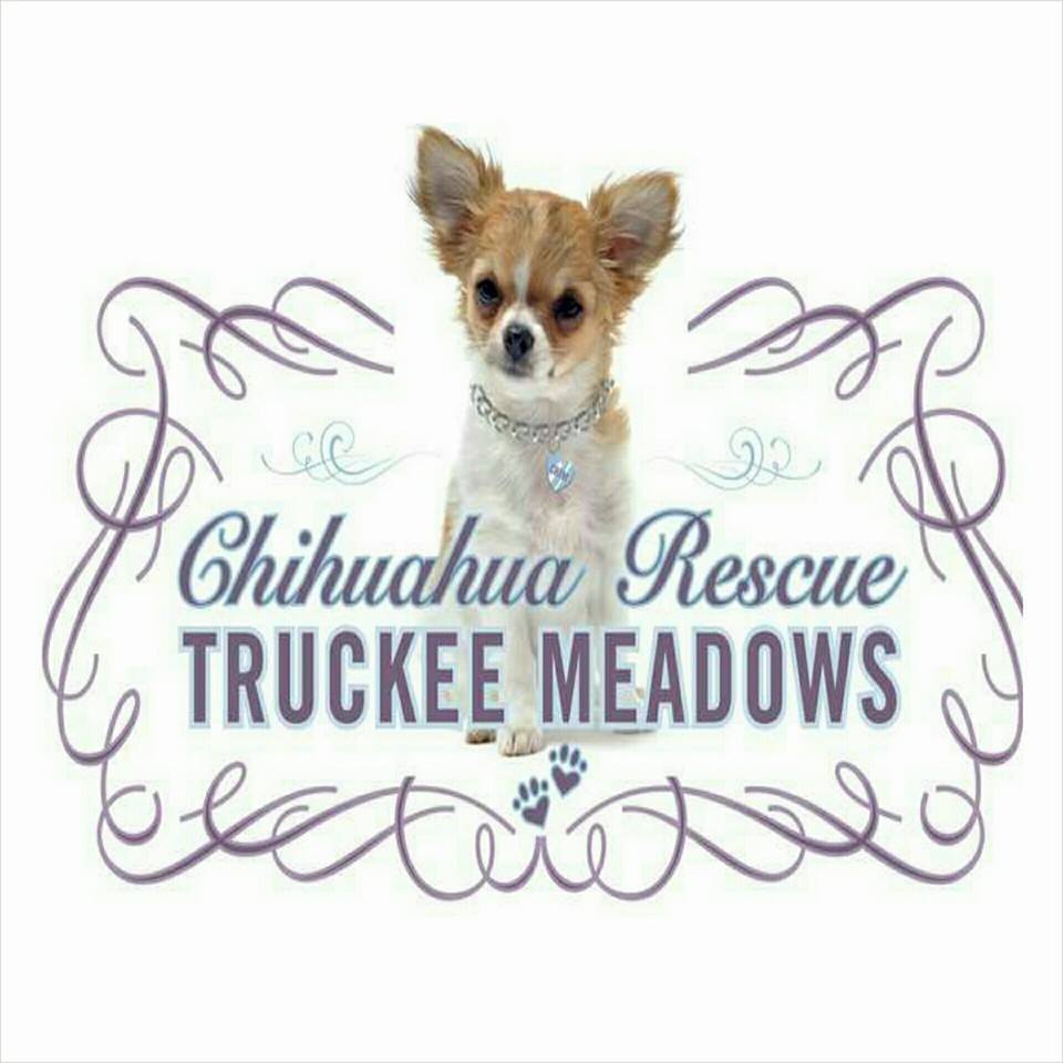 Chihuahua Rescue of Truckee Meadows